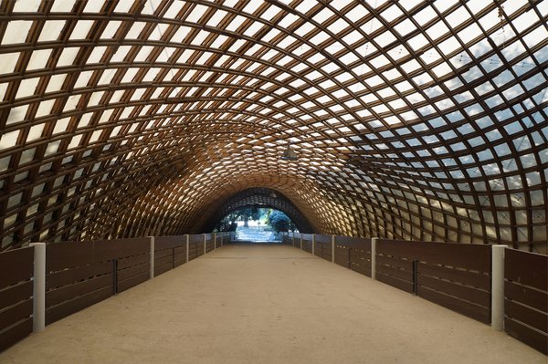 Mit vereinten Kräften die Multihalle retten