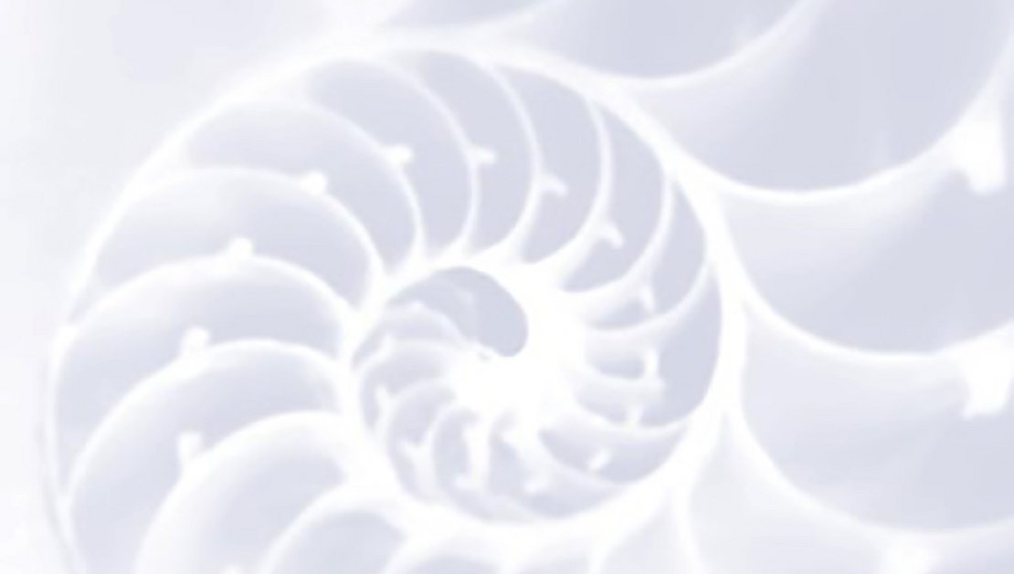 Tipps für die Teilnahme am Verfahren