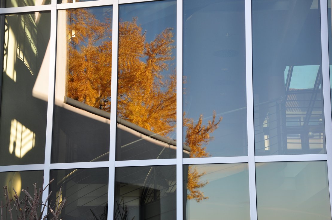 Zwölf Fakten rund ums Ehrenamt