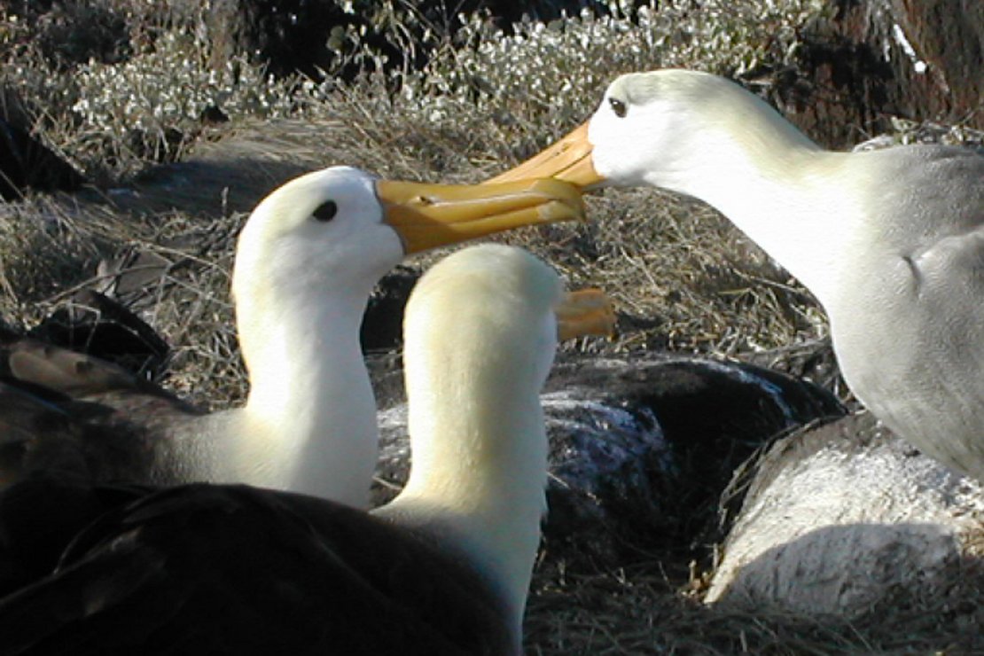 Literatur: Existenzgründung / Büroführung