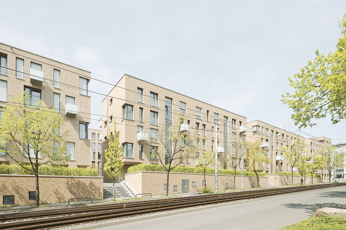 © Brigida González