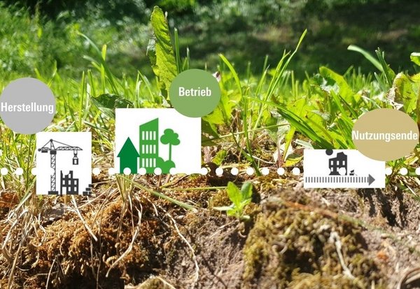 Auf dem Weg zur Klimaneutralität 