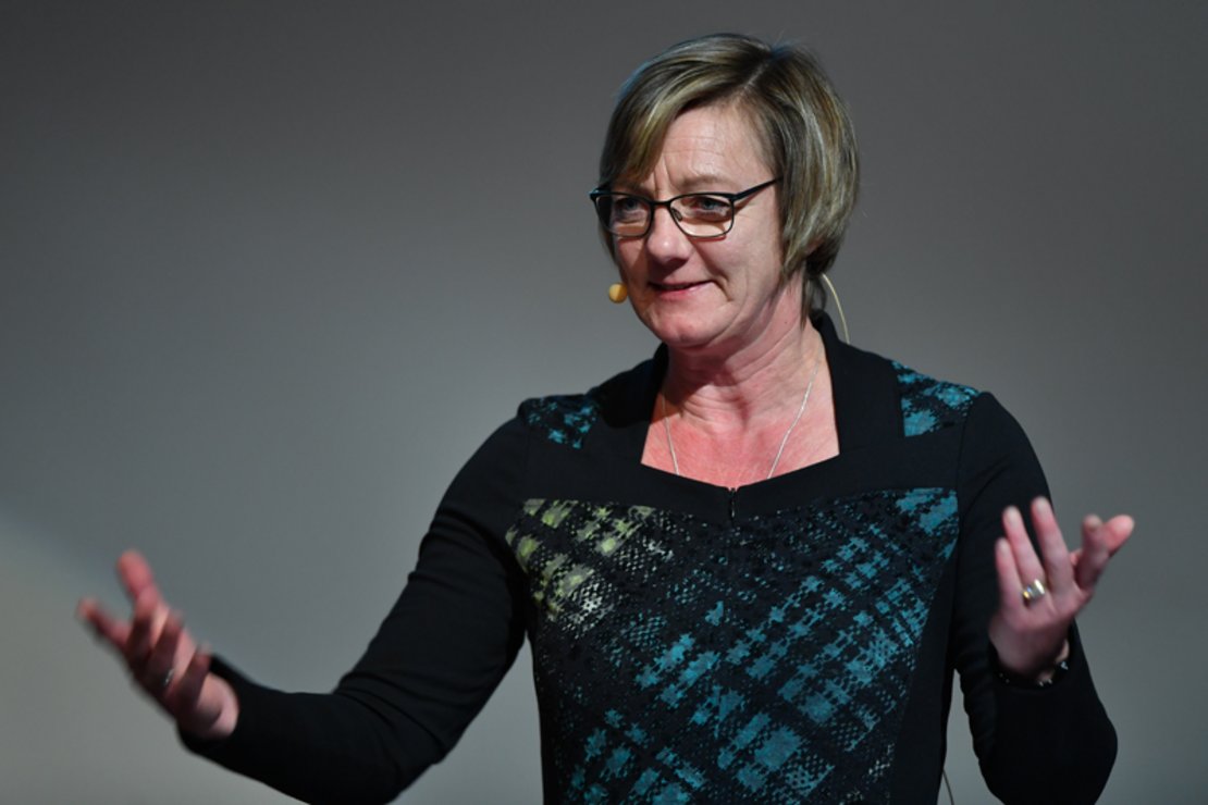 Große Aufgabe: Erhaltung des Bestands