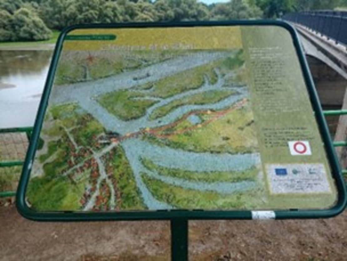 Foto Sylvia Mitschele-Mörmann