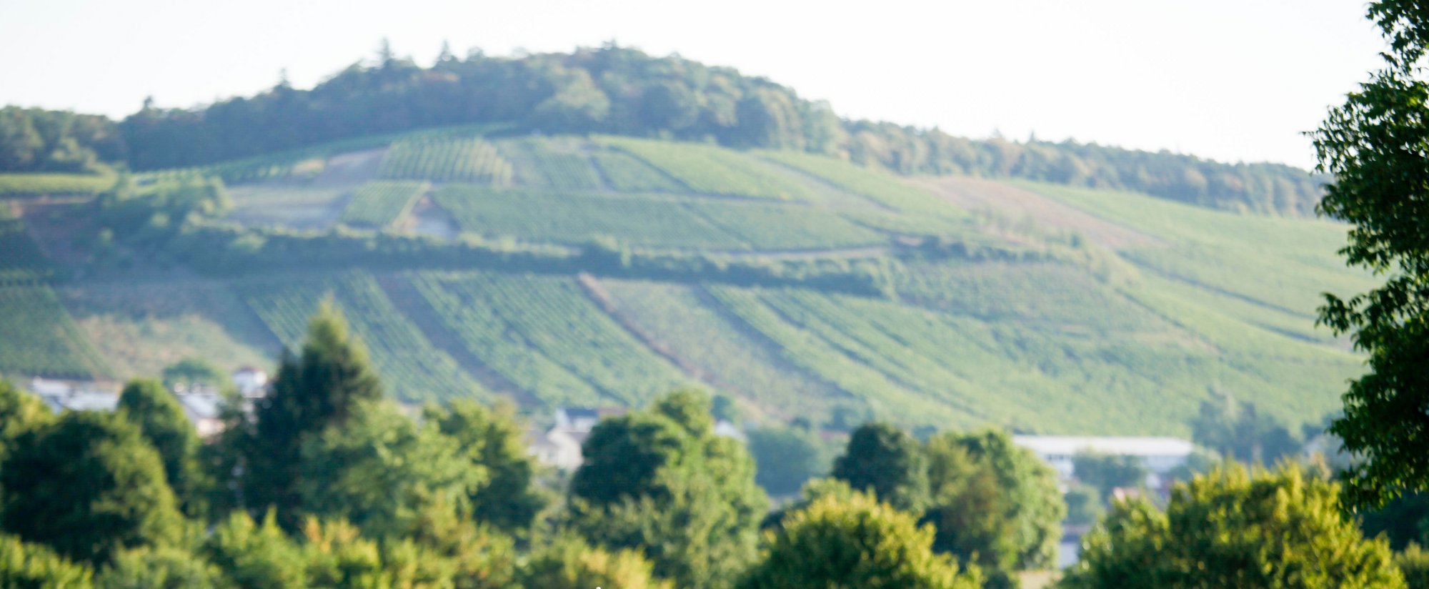 Bildquelle: Heitlinger Golf-Resort Östringen