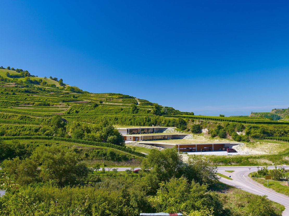 Weingut Franz Keller Schwarzer Adler, Foto: Michael Geis, Geis + Brantner Architekten