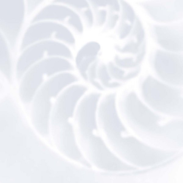 Alles zum Beispielhaften Bauen