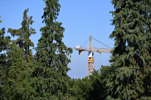 Verbände-Allianz fordert Krisengespräch im Bausektor