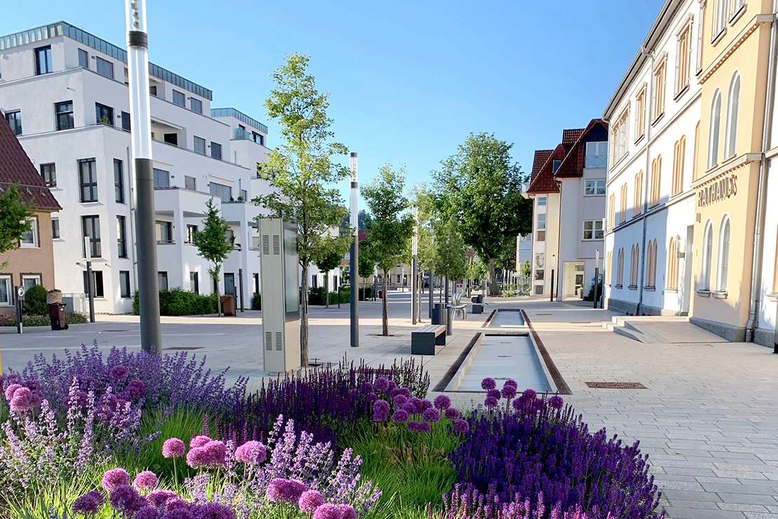 Ein Lotse für Kommunen